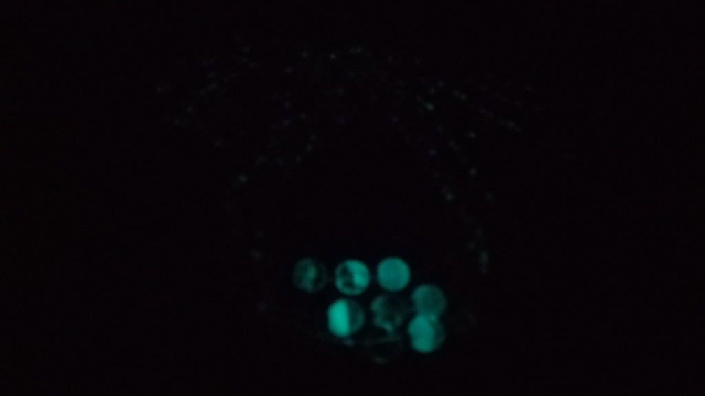 HER LIGHT ( GLOW IN THE DARK)