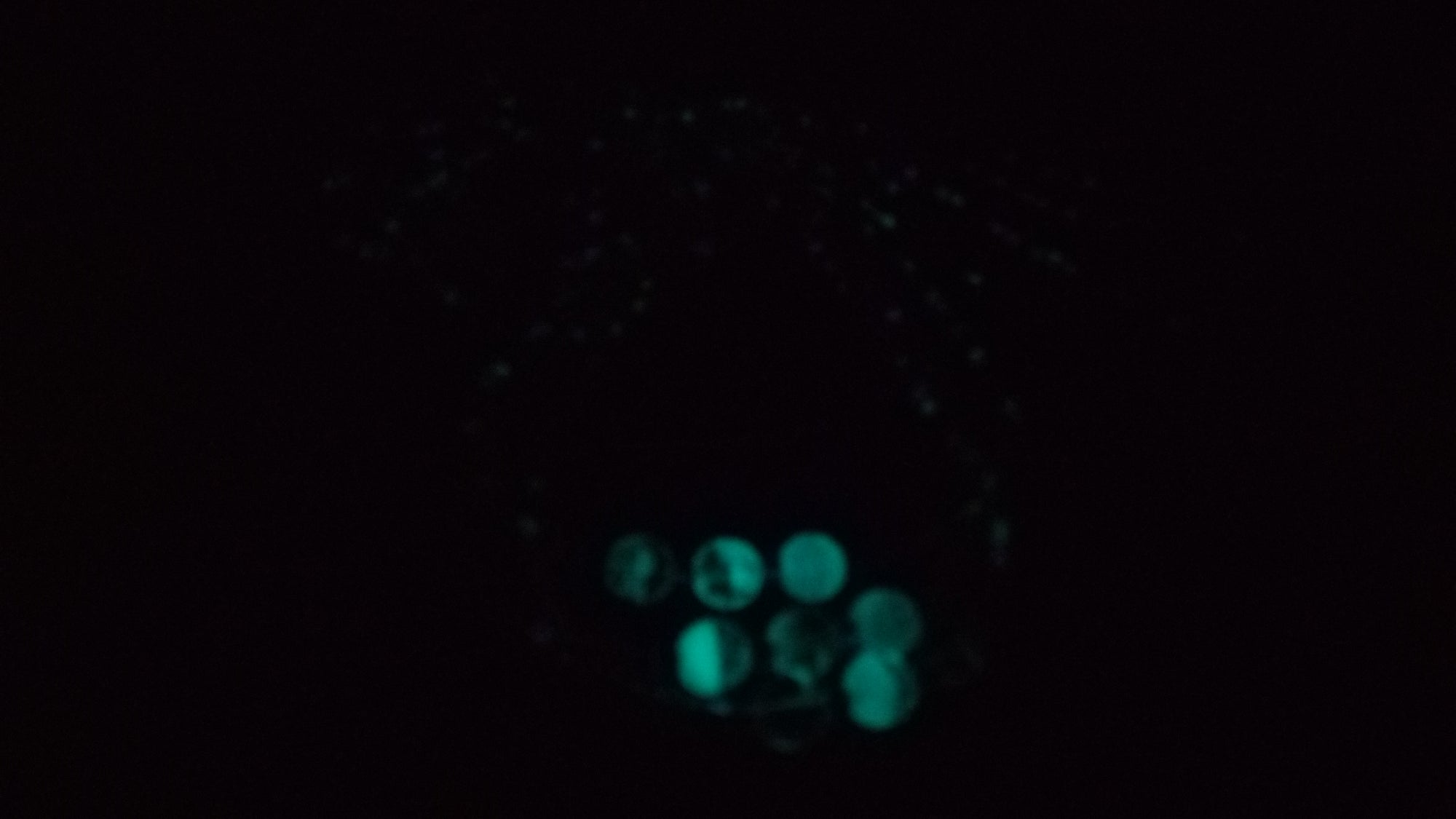 HER LIGHT ( GLOW IN THE DARK)