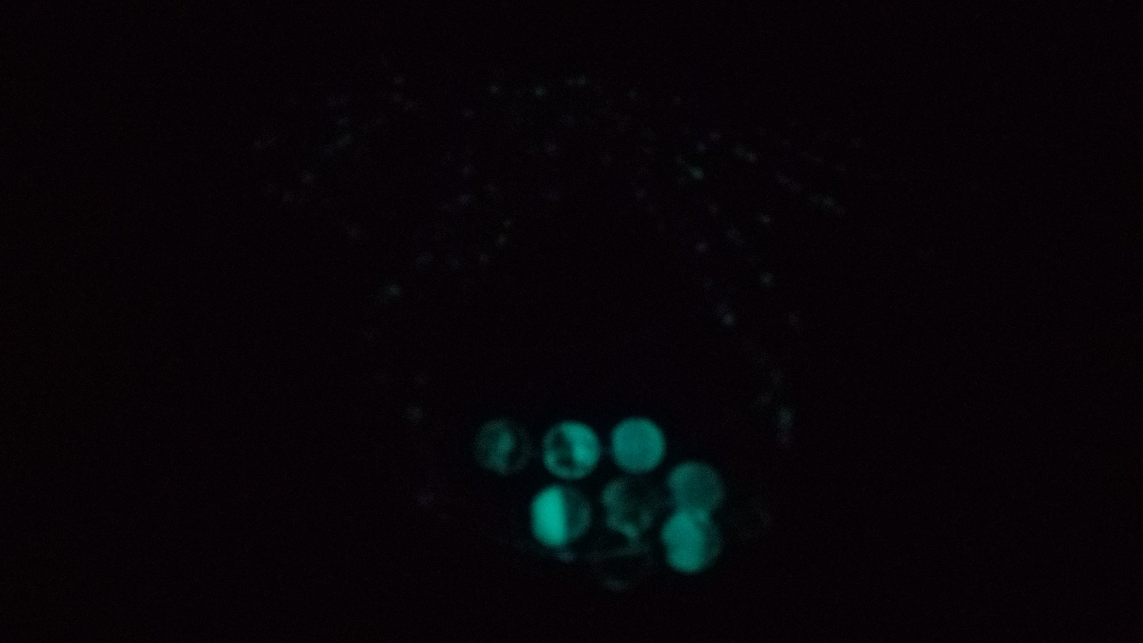 HER LIGHT ( GLOW IN THE DARK)
