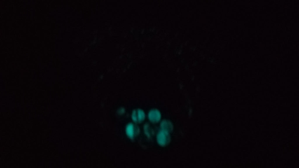 HER LIGHT ( GLOW IN THE DARK)
