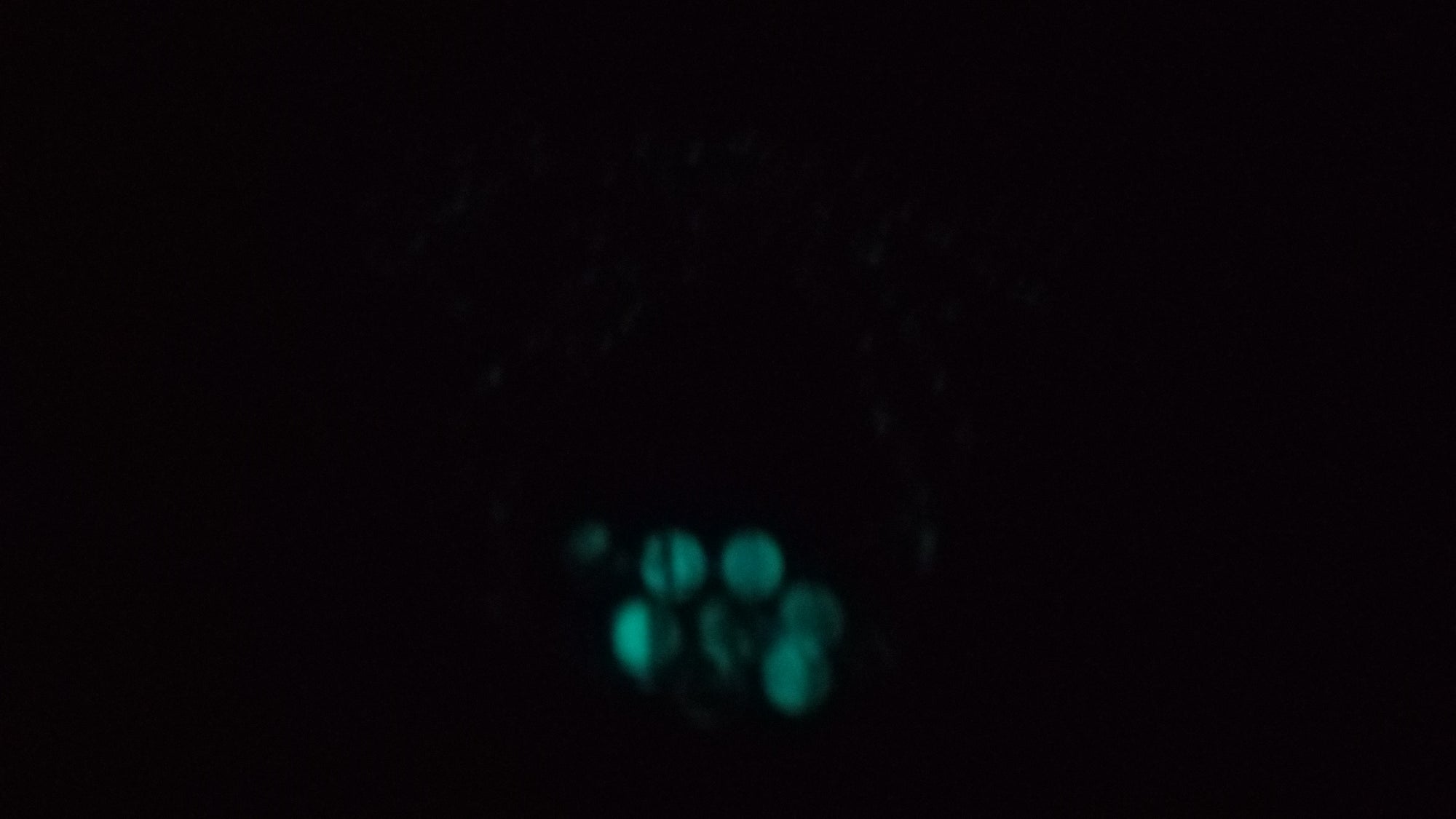 HER LIGHT ( GLOW IN THE DARK)
