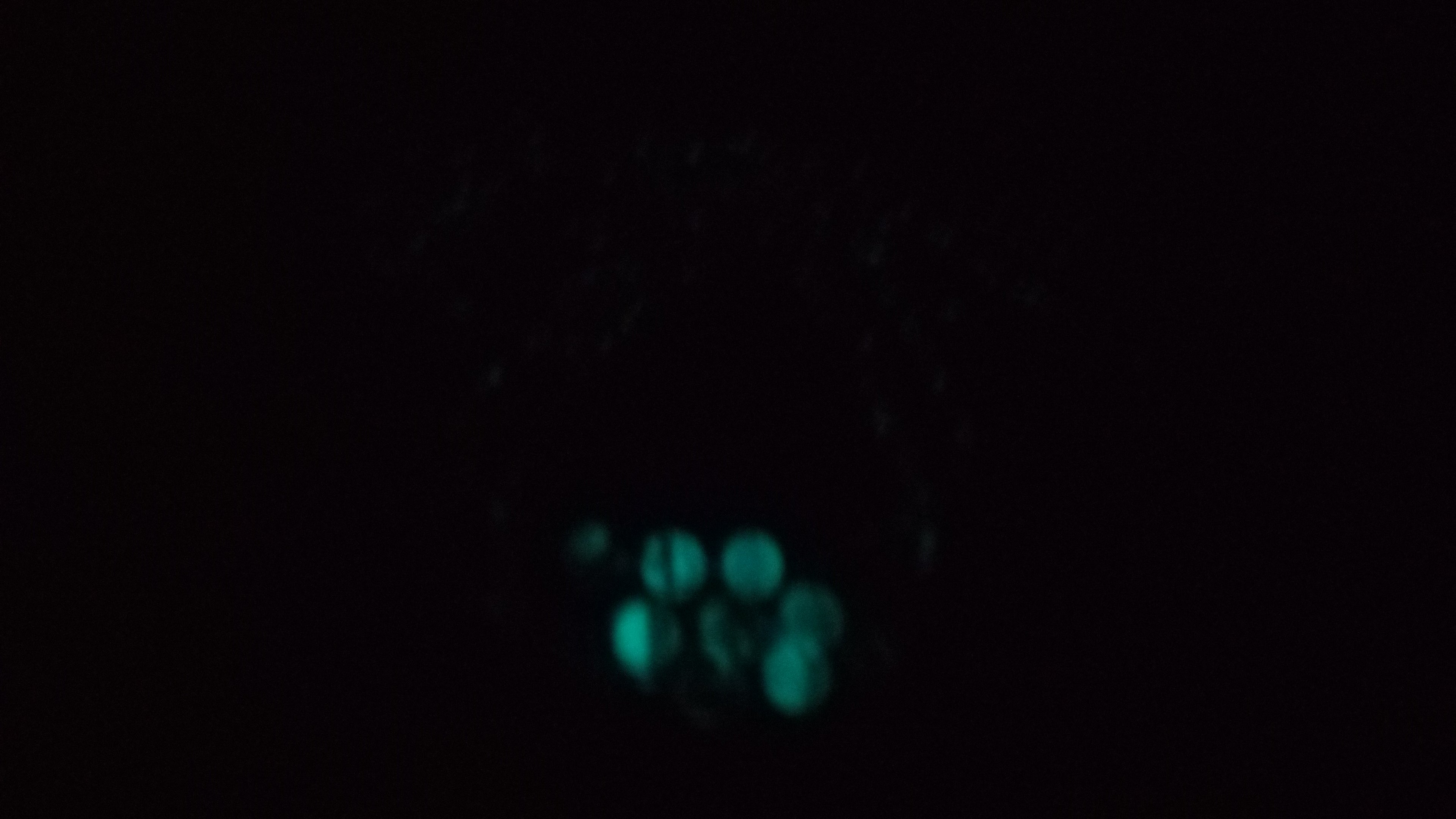 HER LIGHT ( GLOW IN THE DARK)