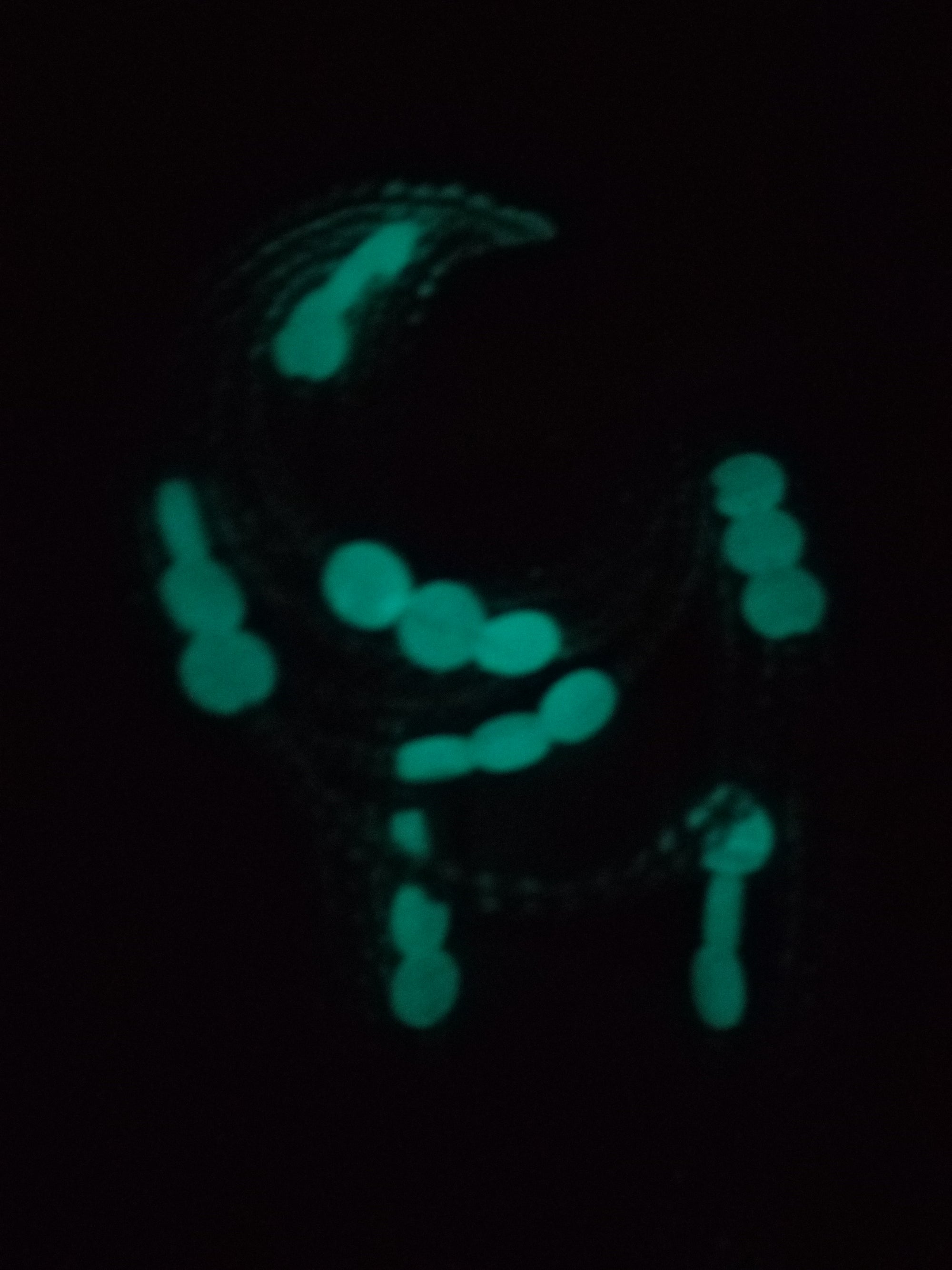 SERENITY(GLOW IN THE DARK)