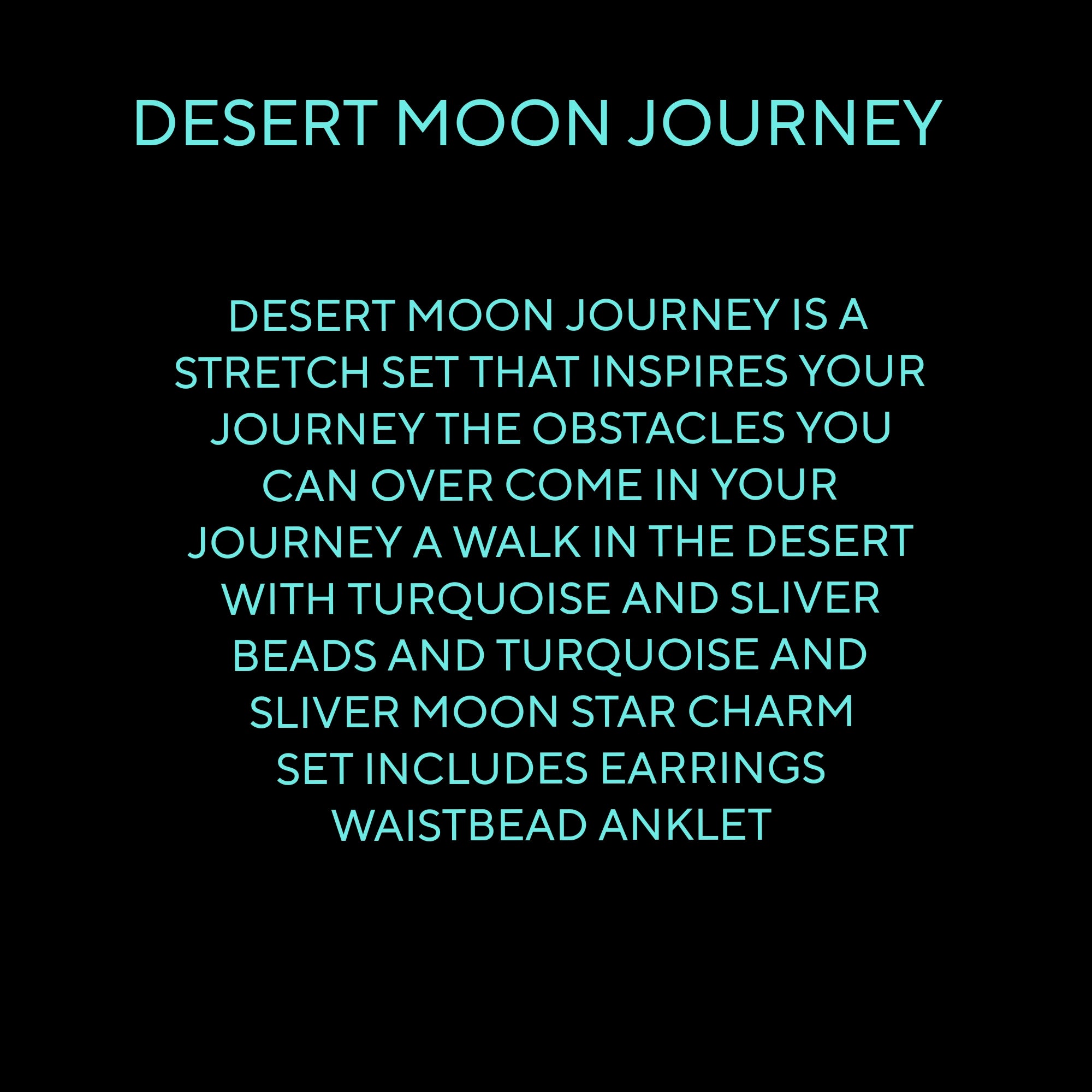 DESERT MOON JOURNEY