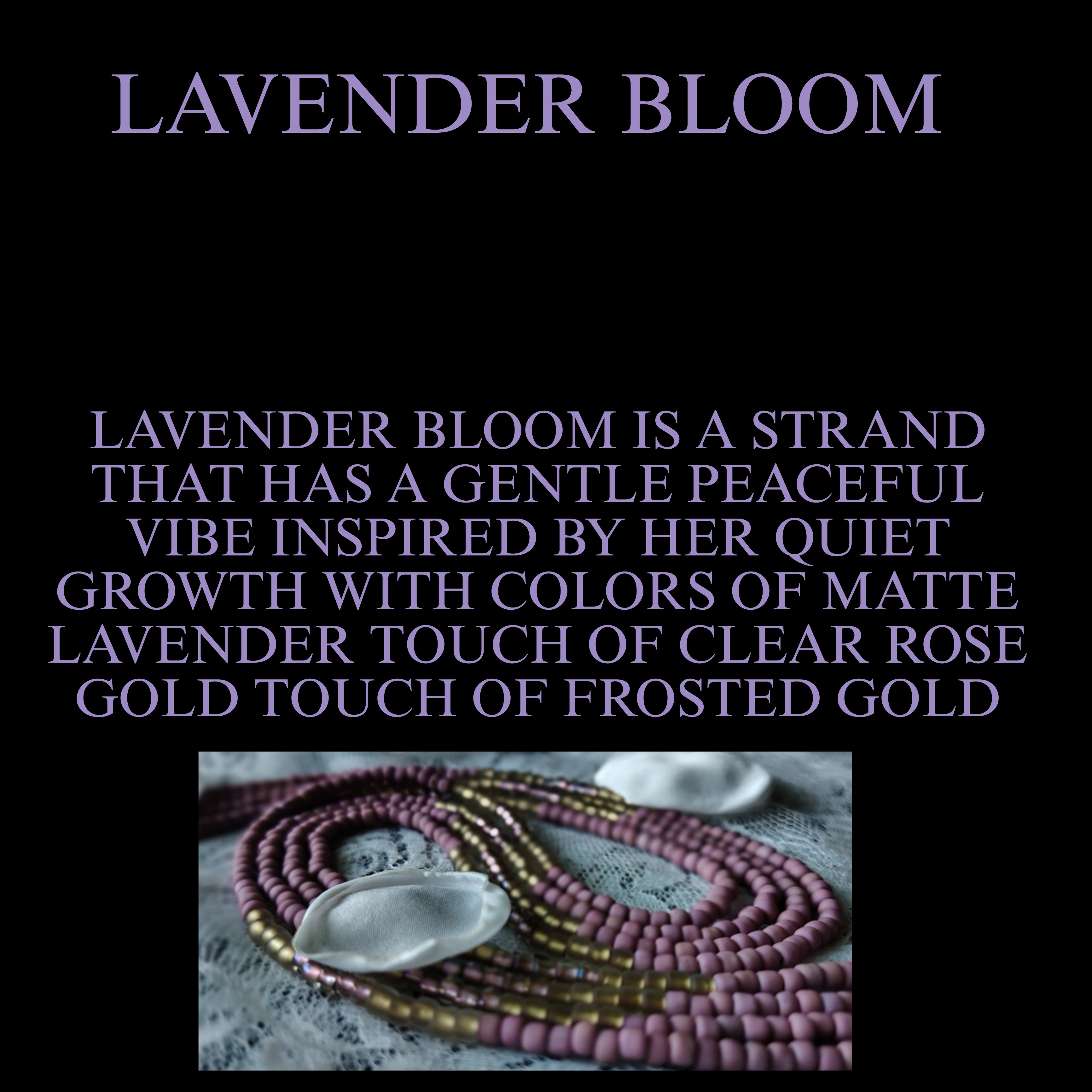 LAVENDER BLOOM