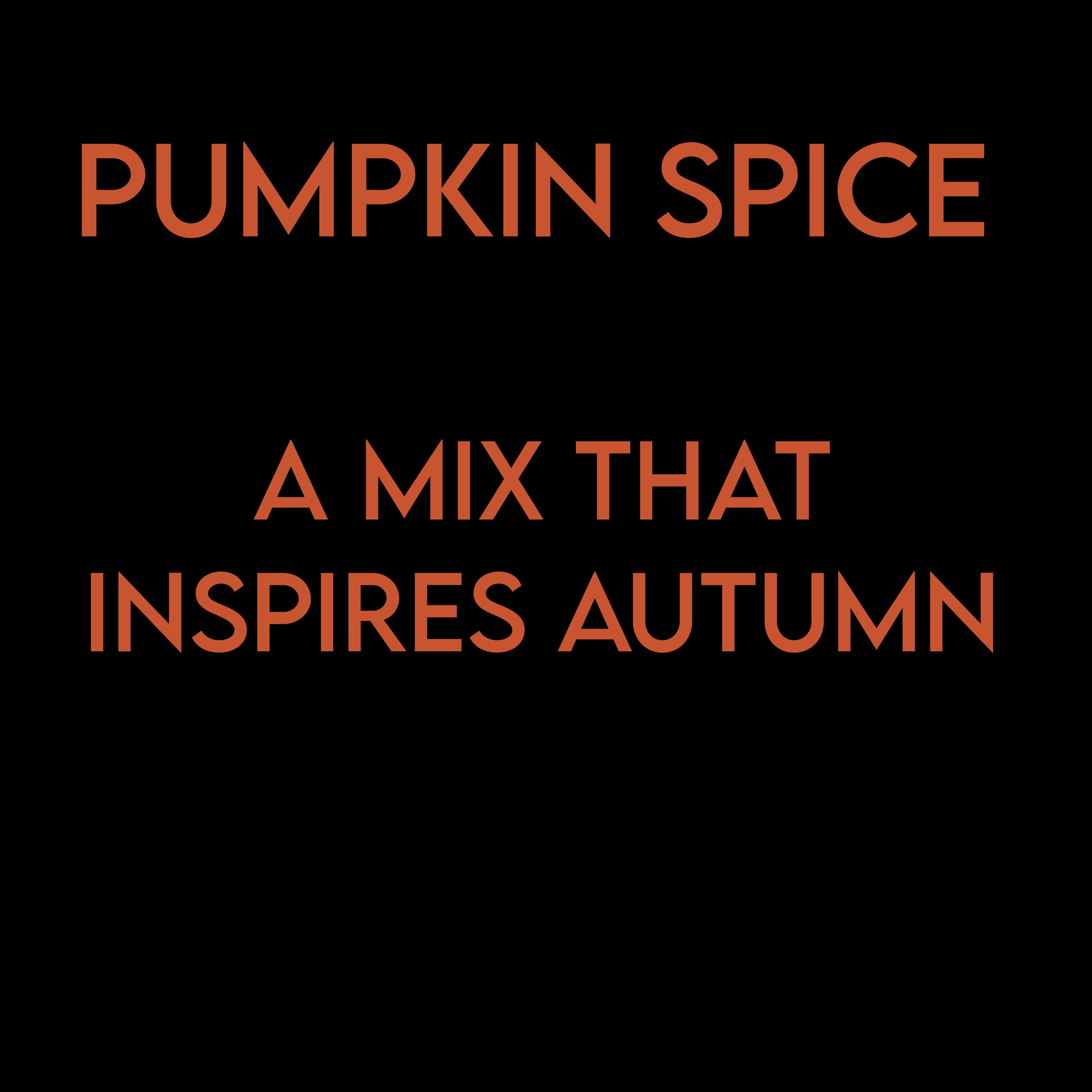 PUMPKIN SPICE MIX